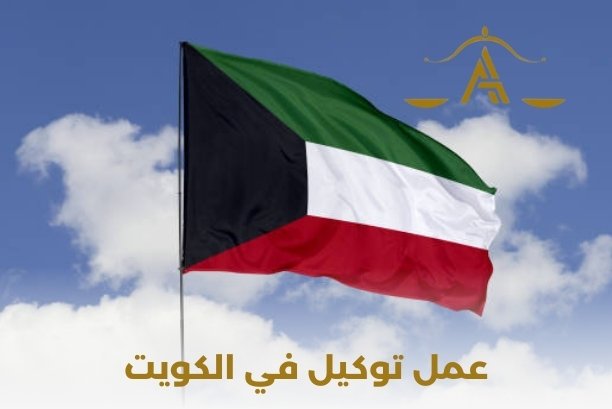 هل يمكن لشخص في مستشفى الطب النفسي إصدار توكيل؟