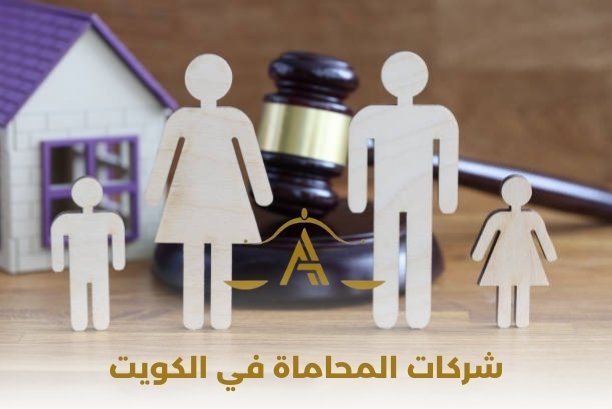 ما هي الوثائق المطلوب إحضارها عند زيارة المحامي لأول مرة؟